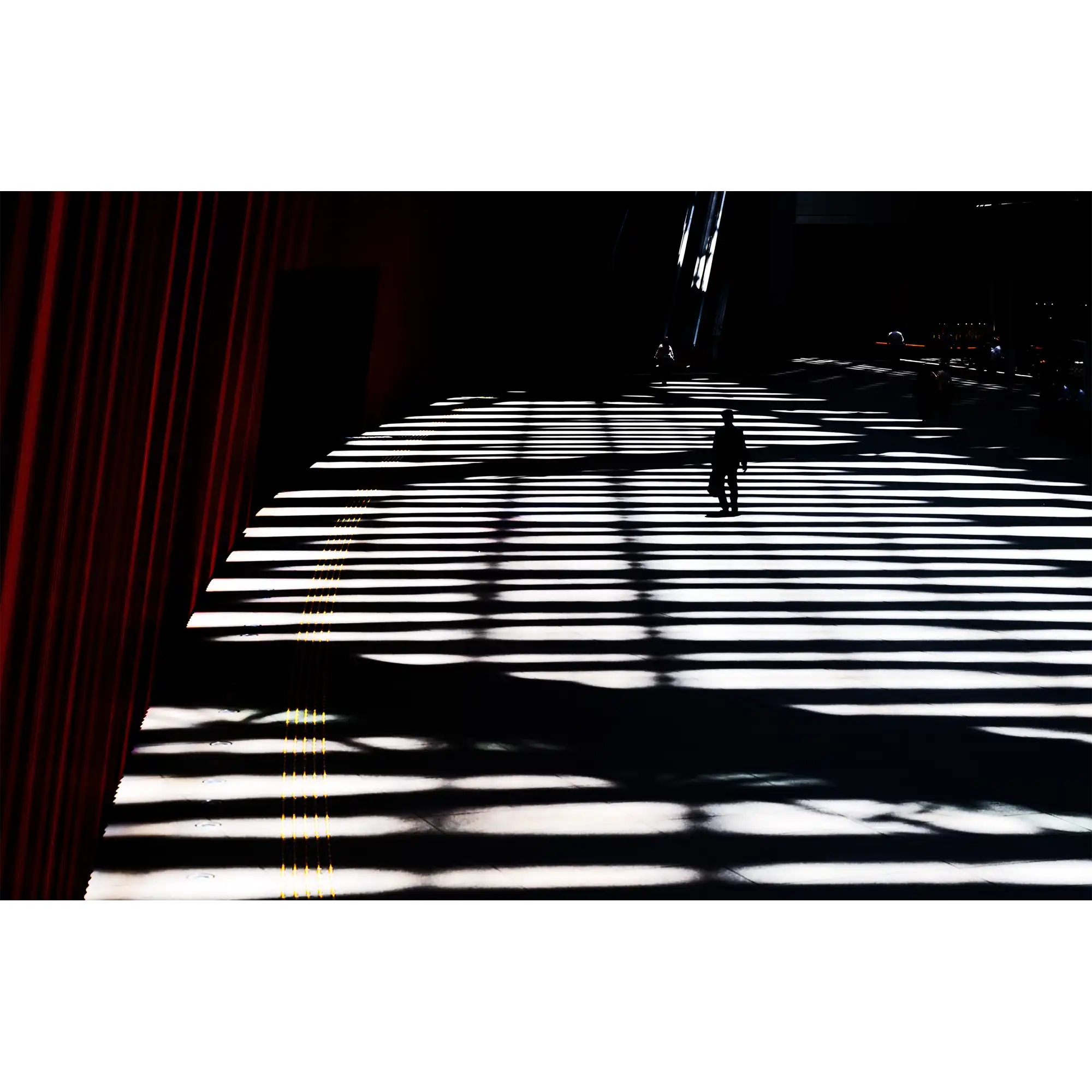 Shadowed by Julie Moltmann