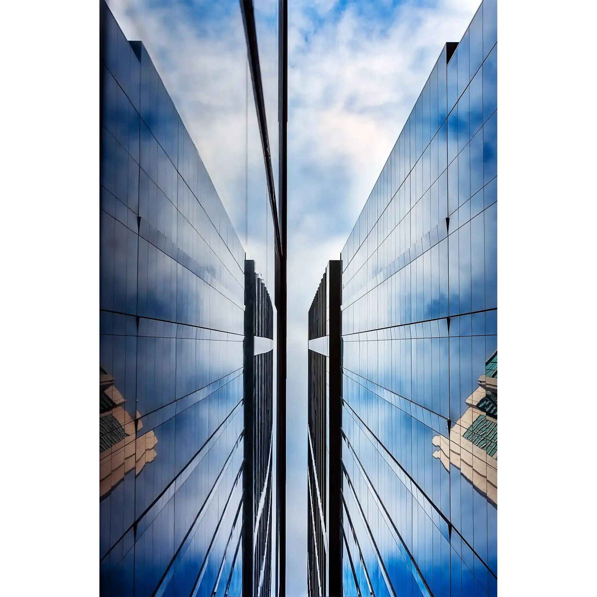 Up by Julie Moltmann