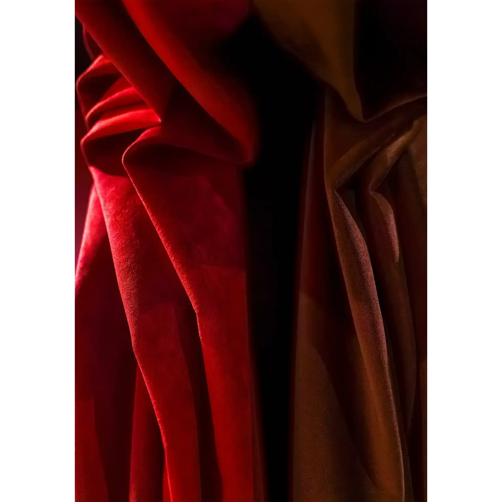 Velvet by Julie Moltmann