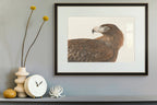 Wedge-tailed Eagle by Vanessa Richardson