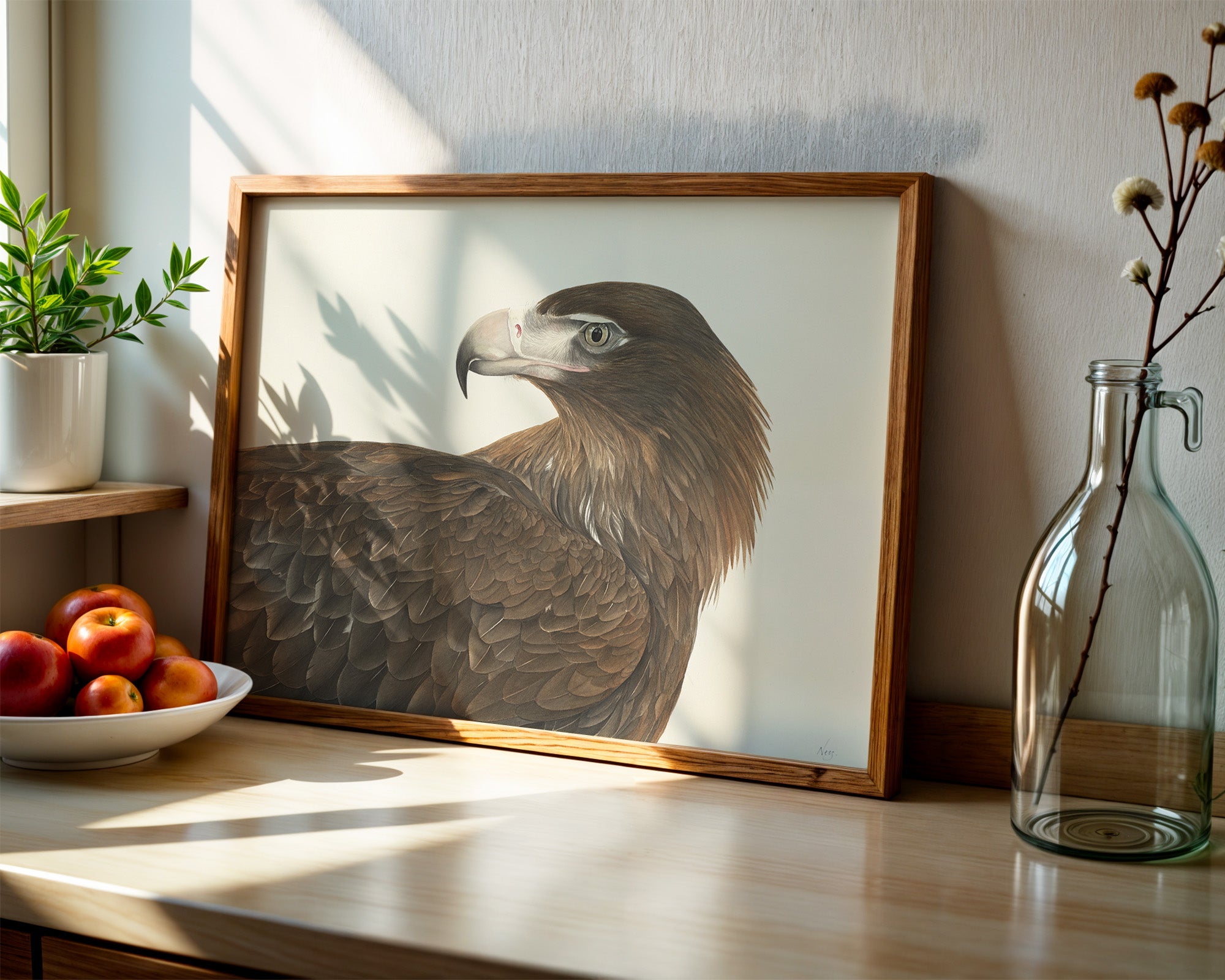 Wedge-tailed Eagle by Vanessa Richardson