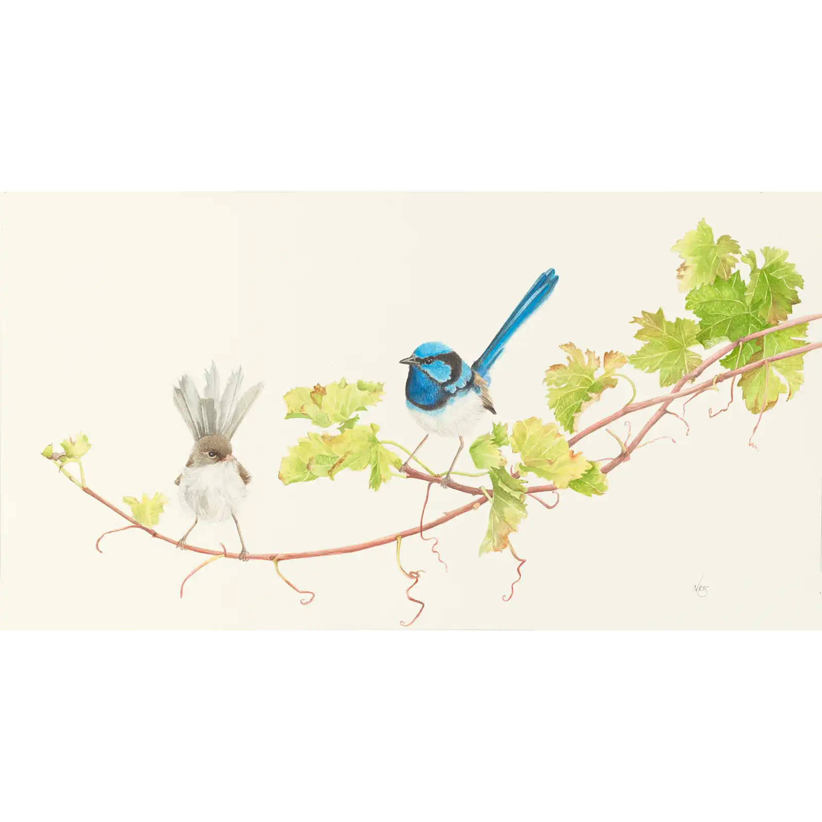 Vineyard Lovers by Vanessa Richardson