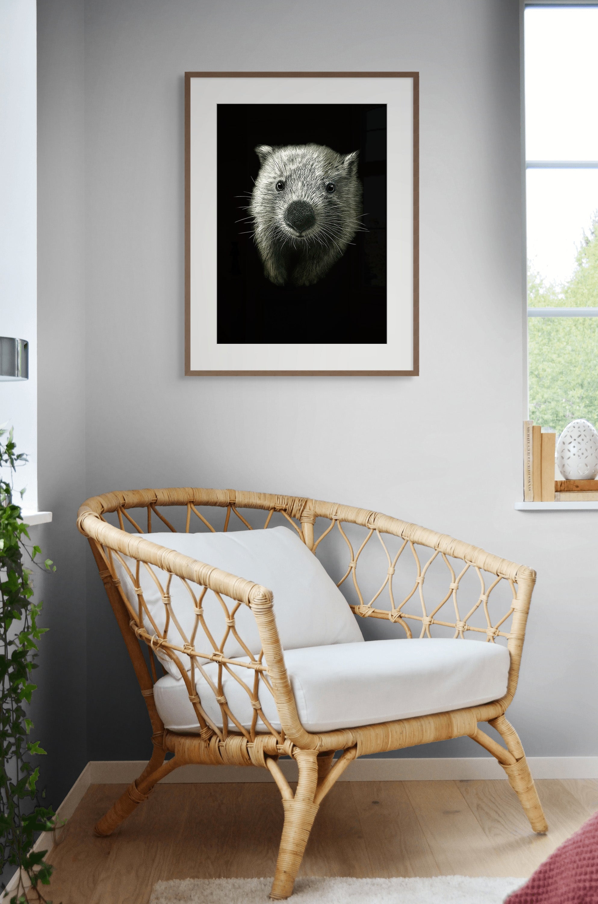 Wombat (Vombatus ursinus) by Rebecca Robinson