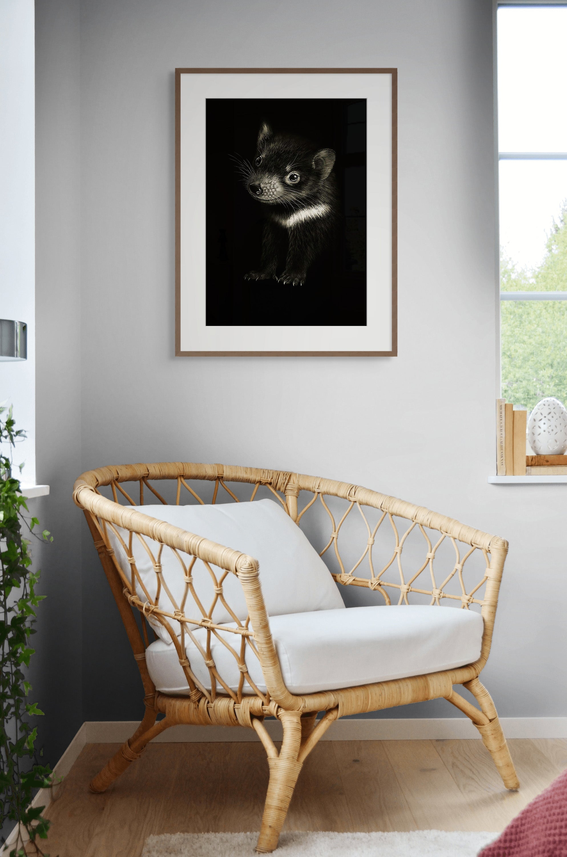 Tasmanian Devil (Sarcophilus harrisii) by Rebecca Robinson