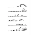 Dolphin Surface Profile by Rebecca Robinson