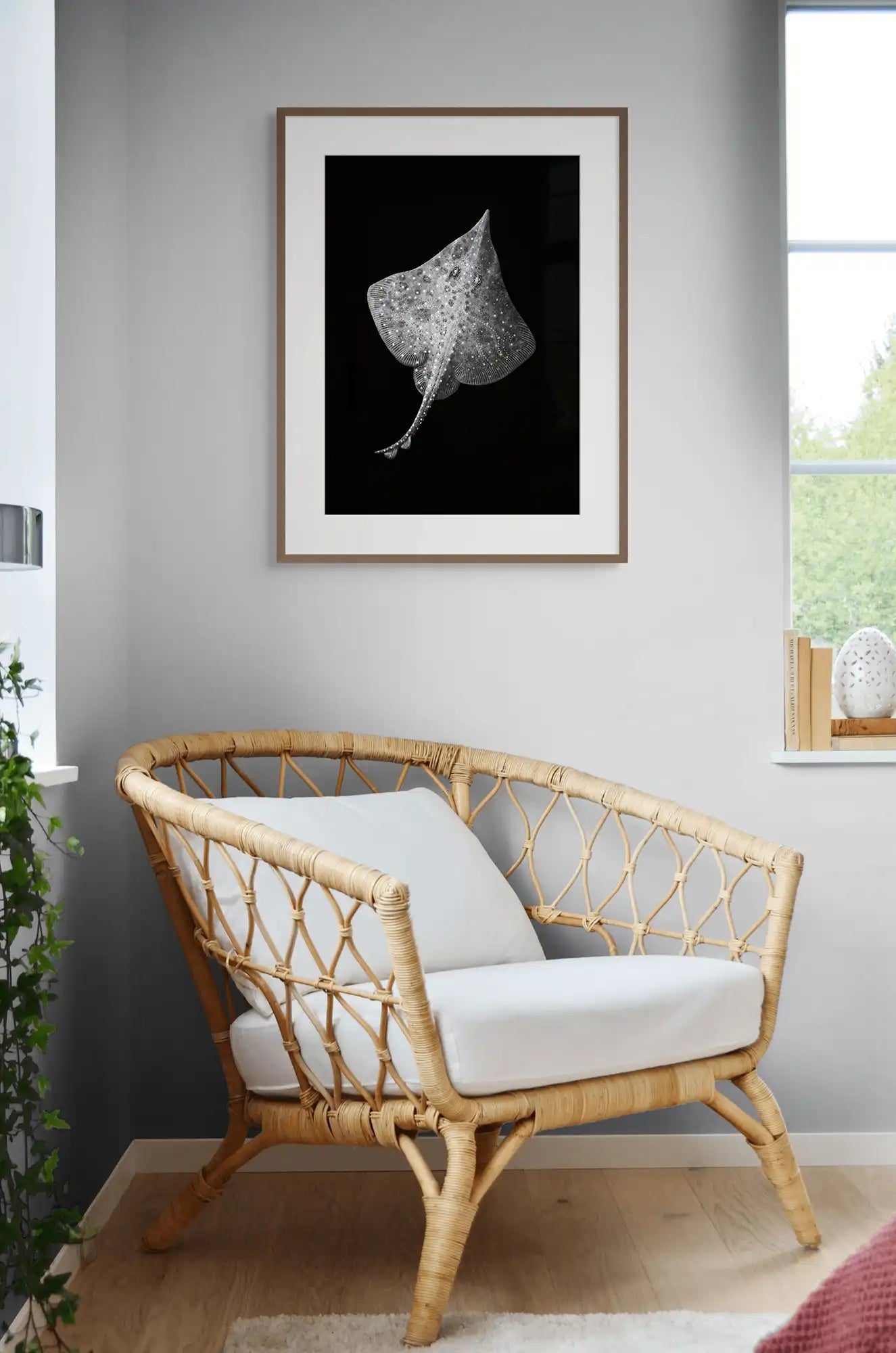 The Maugean Skate (Zearaja maugeana) by Rebecca Robinson