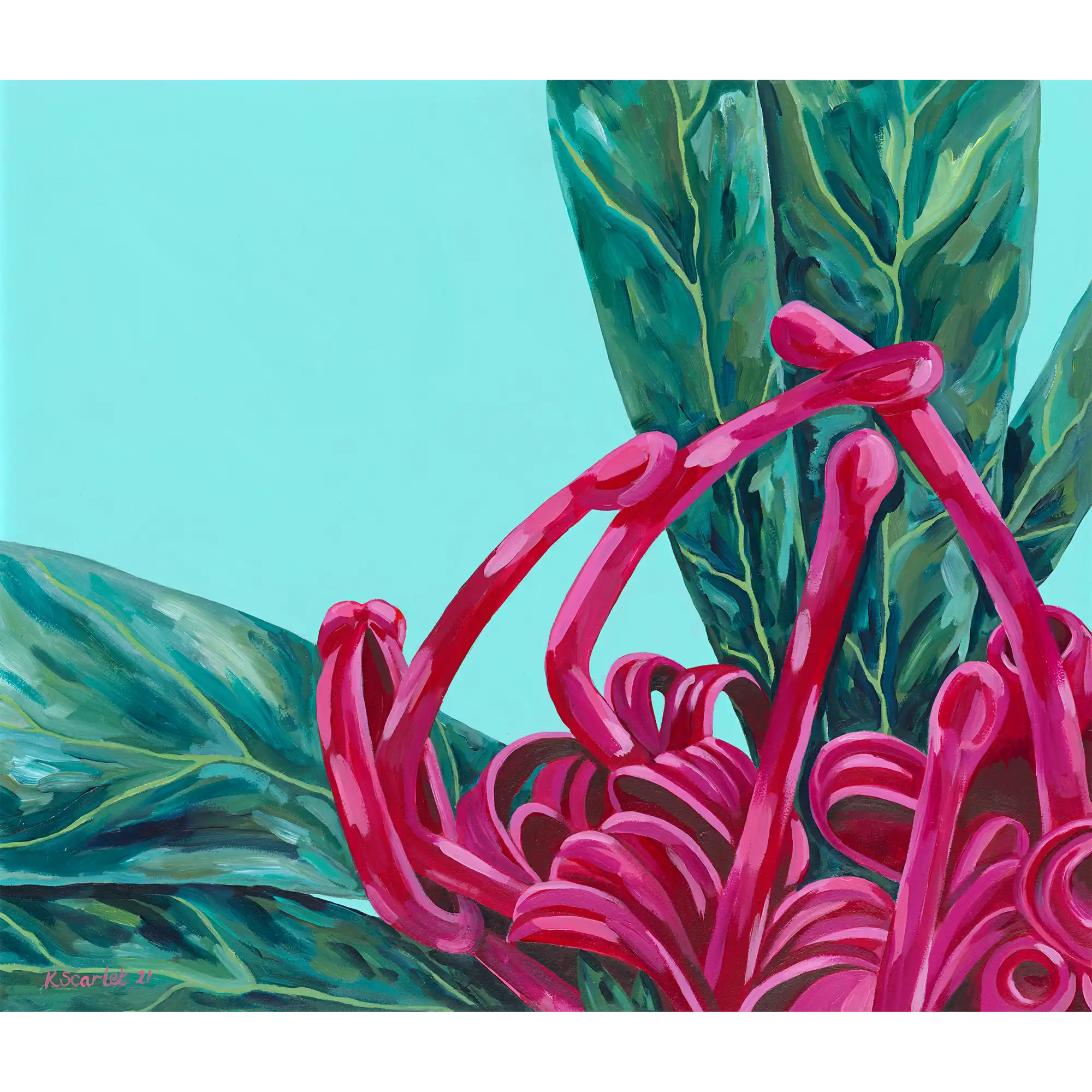 Telopea Truncata by Kat Scarlet