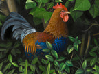 Errol (Gone Feral) by Jim Stagg