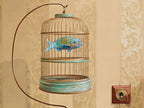 Domestic Parrot Fish by Jim Stagg