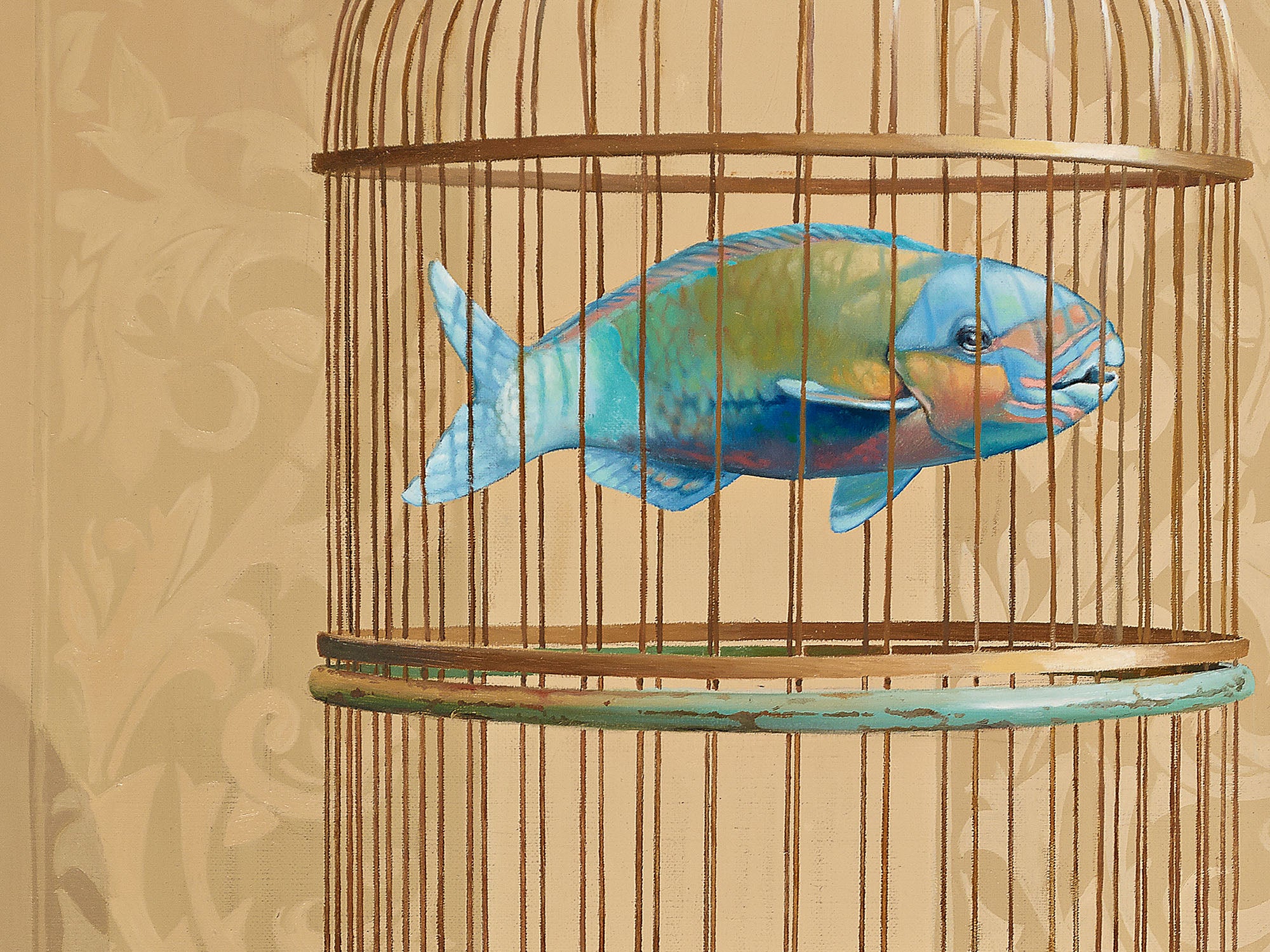 Domestic Parrot Fish by Jim Stagg