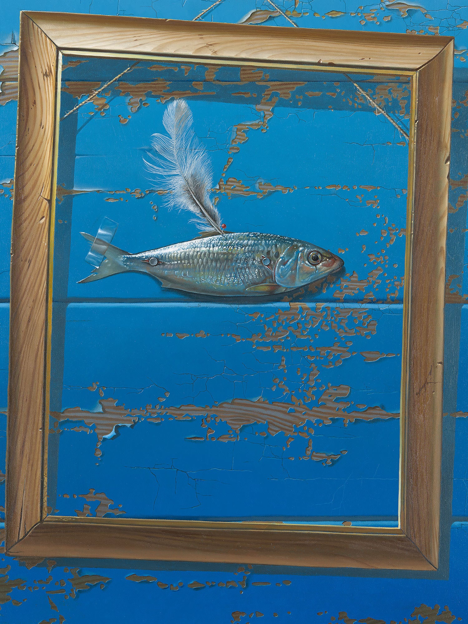 Flying Fish II by Jim Stagg