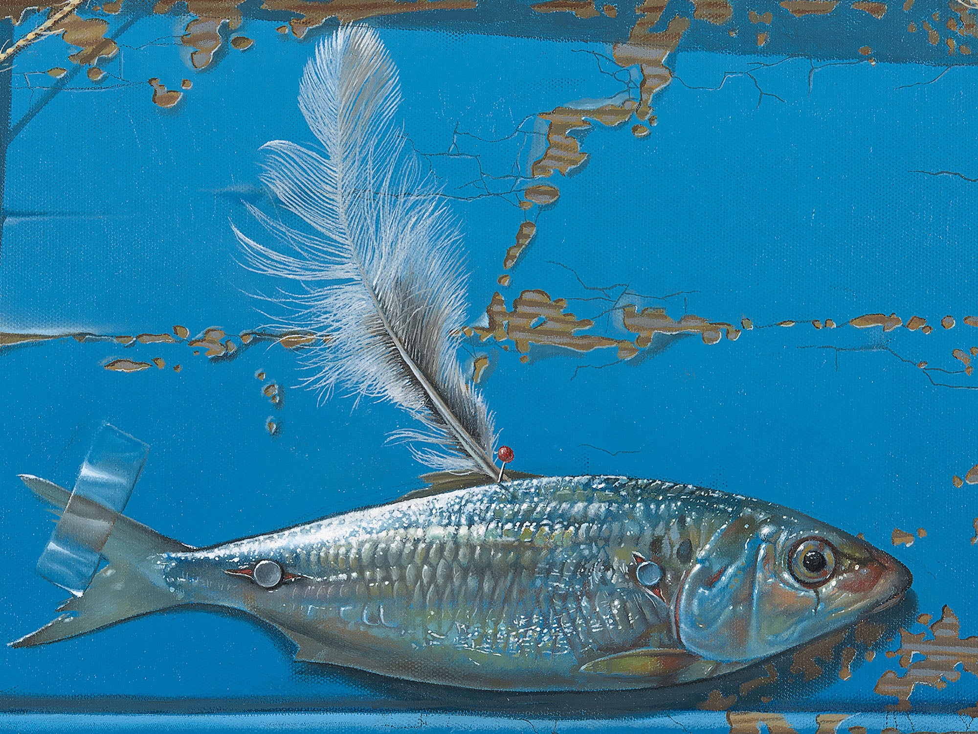 Flying Fish II by Jim Stagg