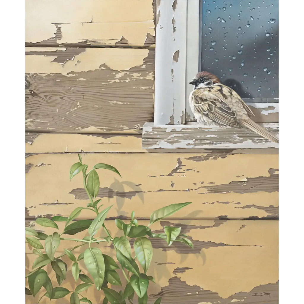 Sparrow by Jim Stagg