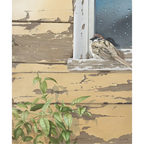 Sparrow by Jim Stagg