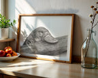 Platypus by Mel Stanger