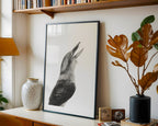Kookaburra by Mel Stanger