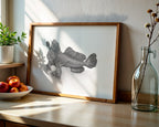 Red Handfish by Mel Stanger