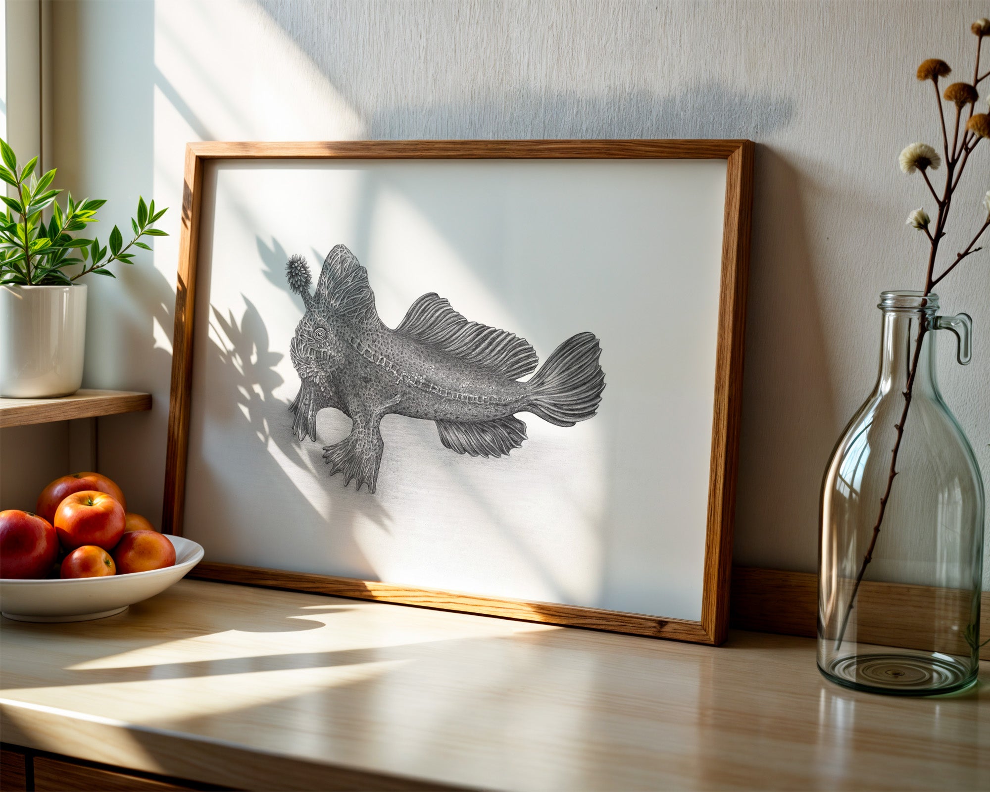 Red Handfish by Mel Stanger