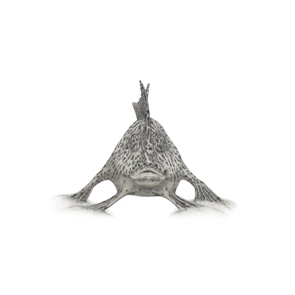 Handfish by Mel Stanger