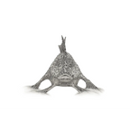 Handfish by Mel Stanger