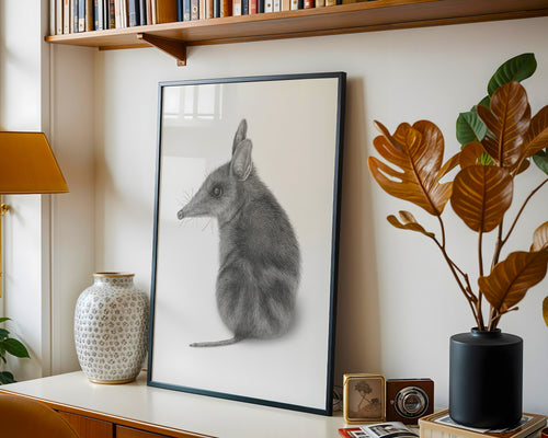 Bandicoot by Mel Stanger