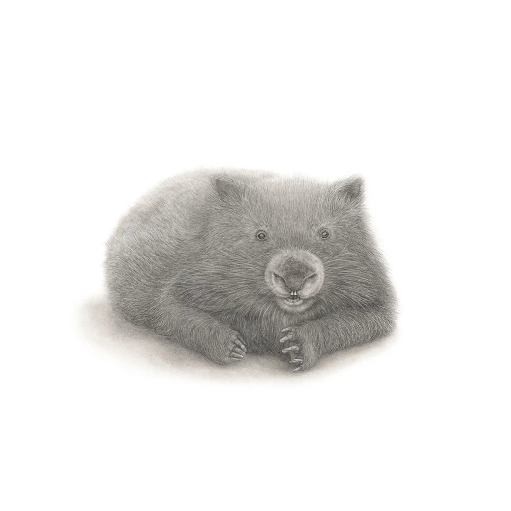 Wombat by Mel Stanger