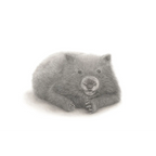 Wombat by Mel Stanger