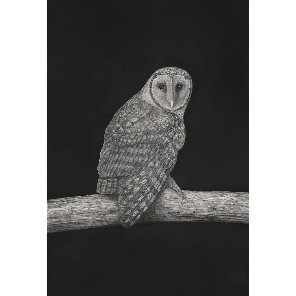 Masked Owlby Mel Stanger