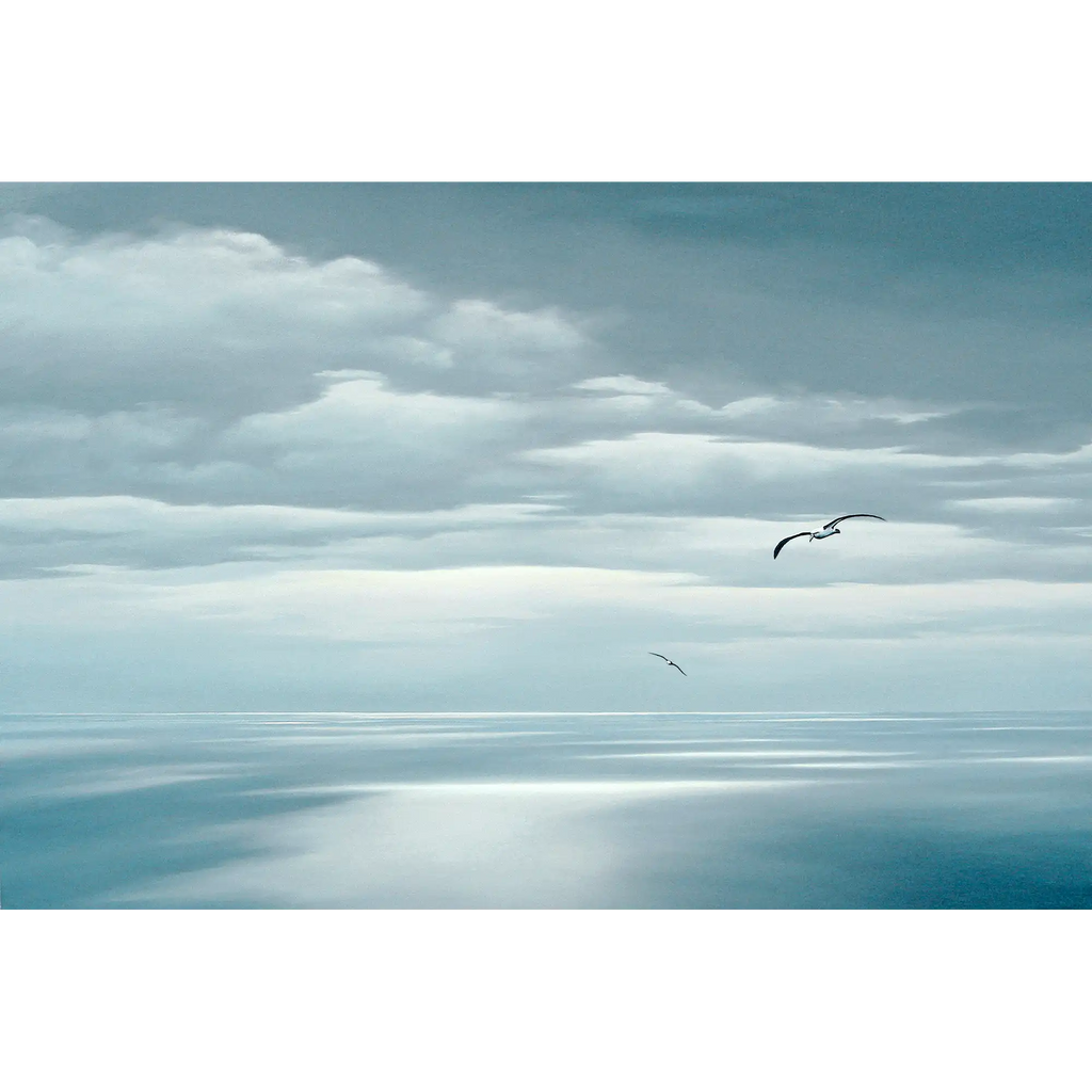 Bass Strait Albatross by Richard Stanley
