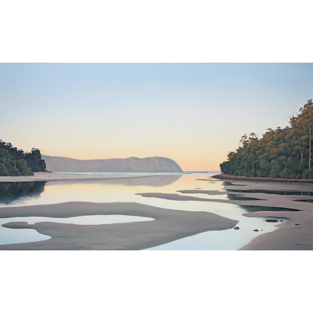 Cloudy Bay Lagoon, Low Tide by Richard Stanley