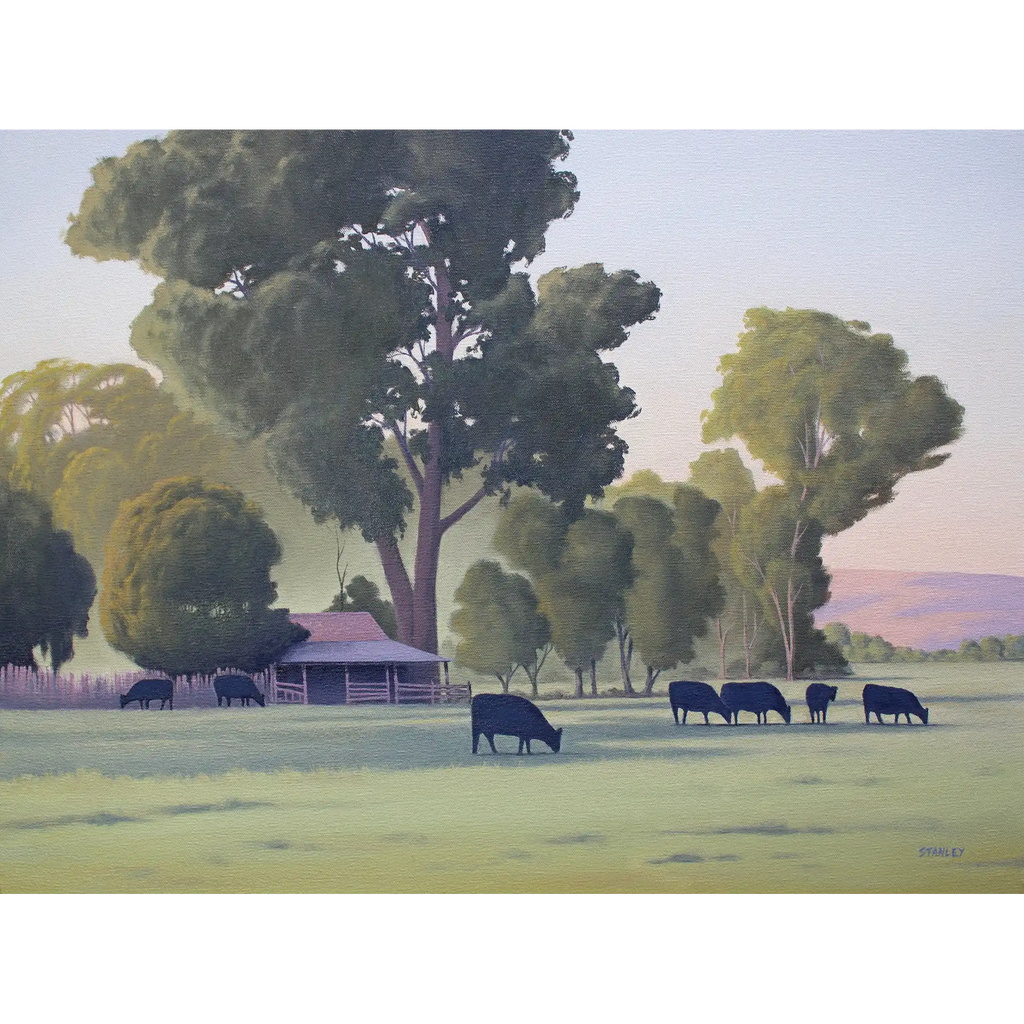 Cows at Cradoc by Richard Stanley