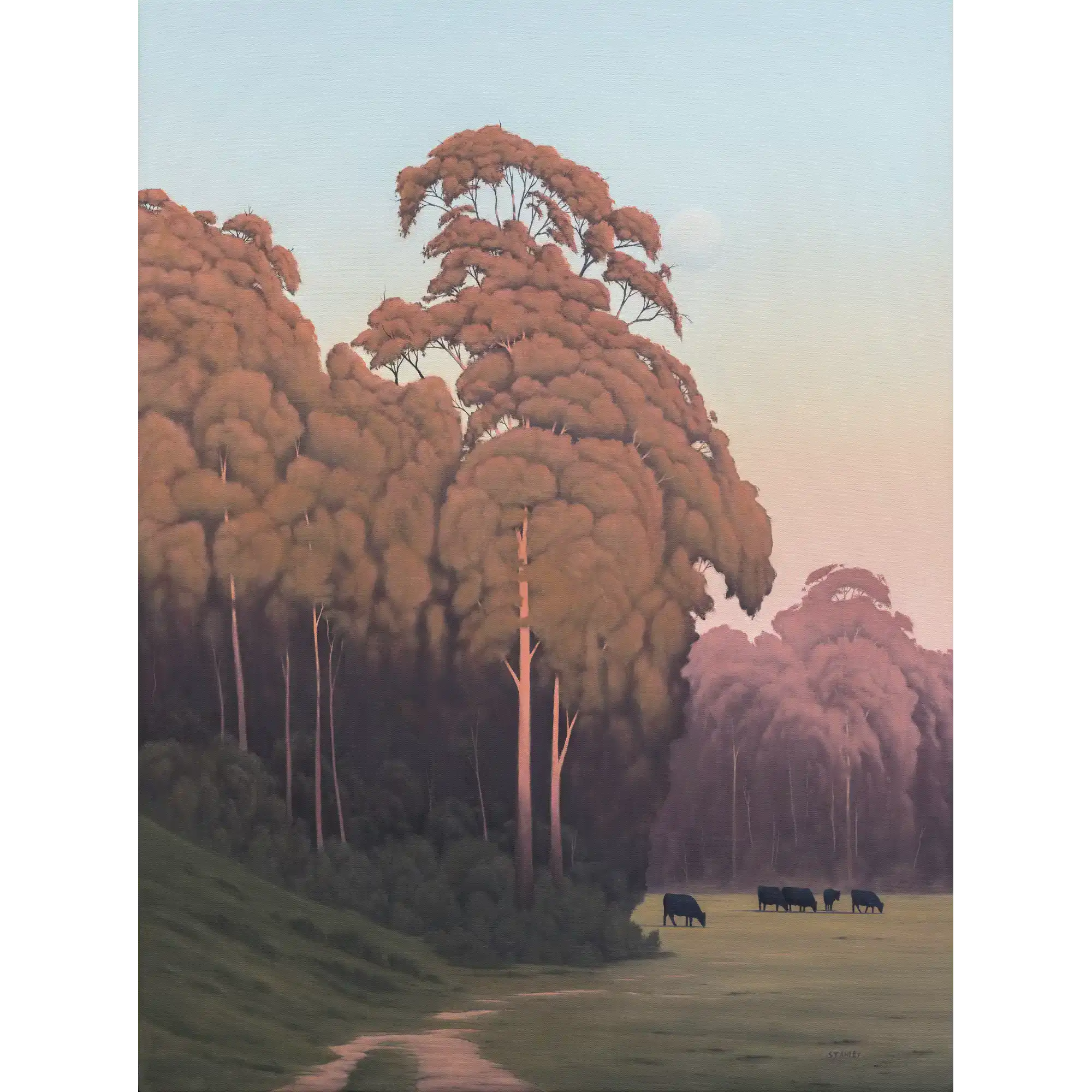 Huon Dusk by Richard Stanley