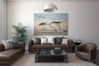 Maria Island by Richard Stanley
