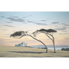 Maria Island by Richard Stanley