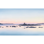 Super Moon Cockle Creek by Richard Stanley
