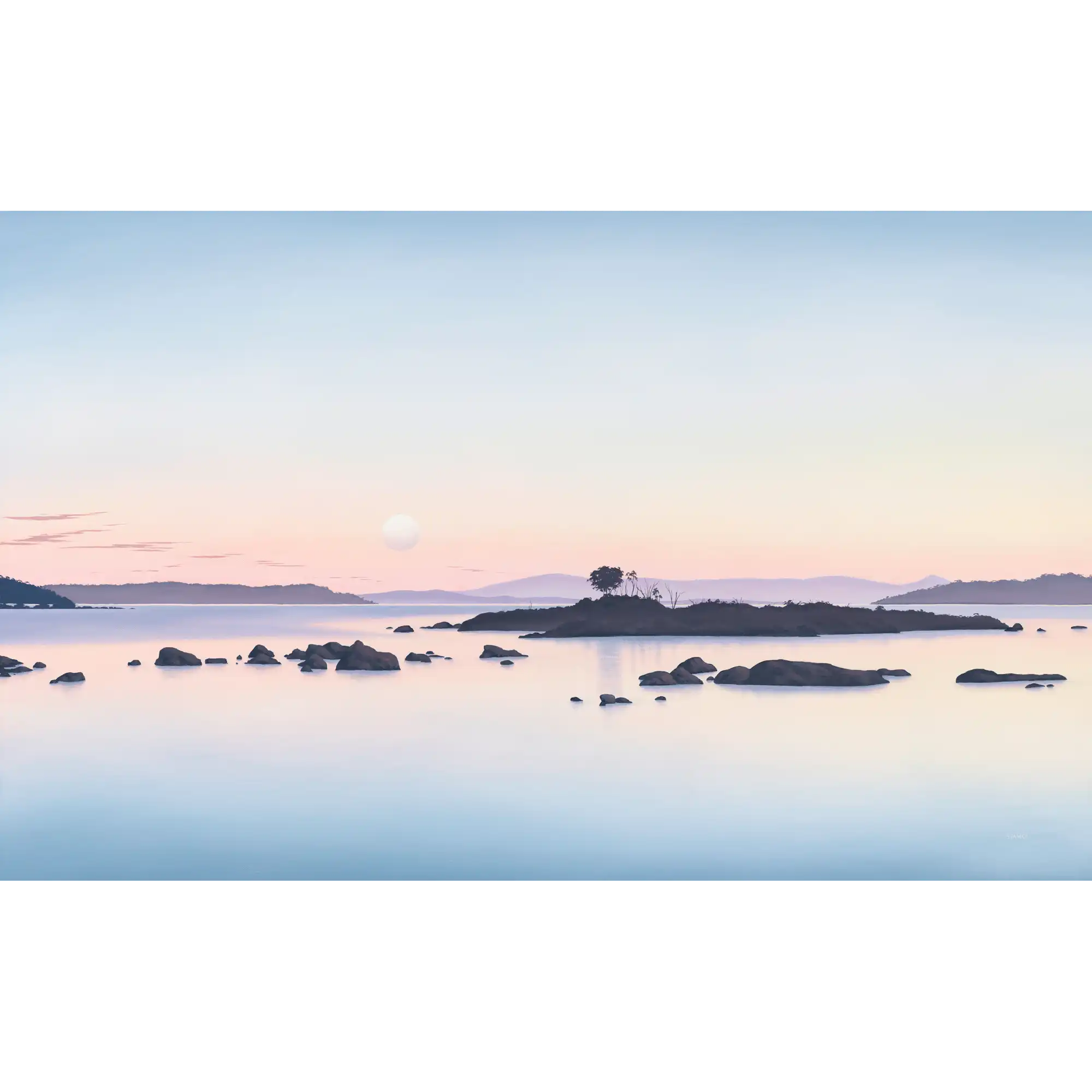 Super Moon Cockle Creek by Richard Stanley