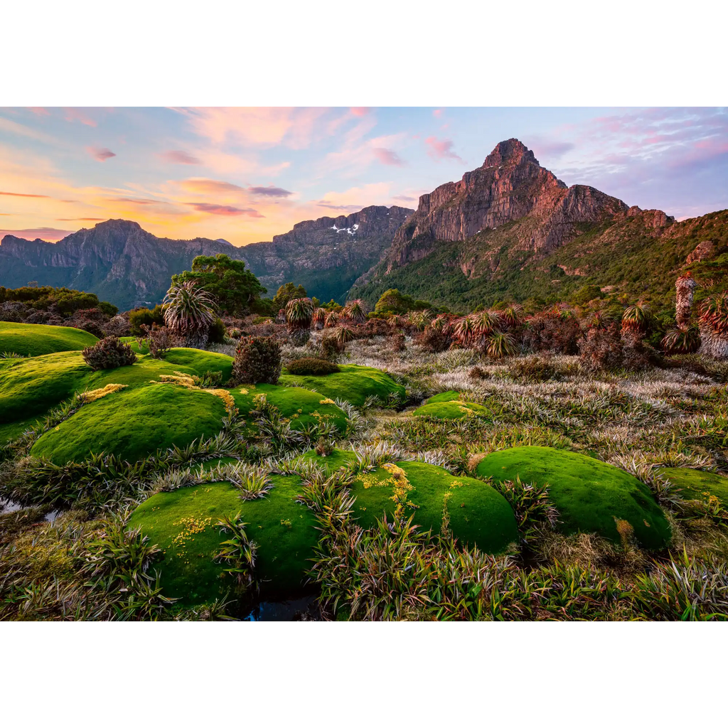Prehistoric Dawn by Luke Tscharke