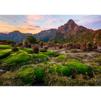 Prehistoric Dawn by Luke Tscharke