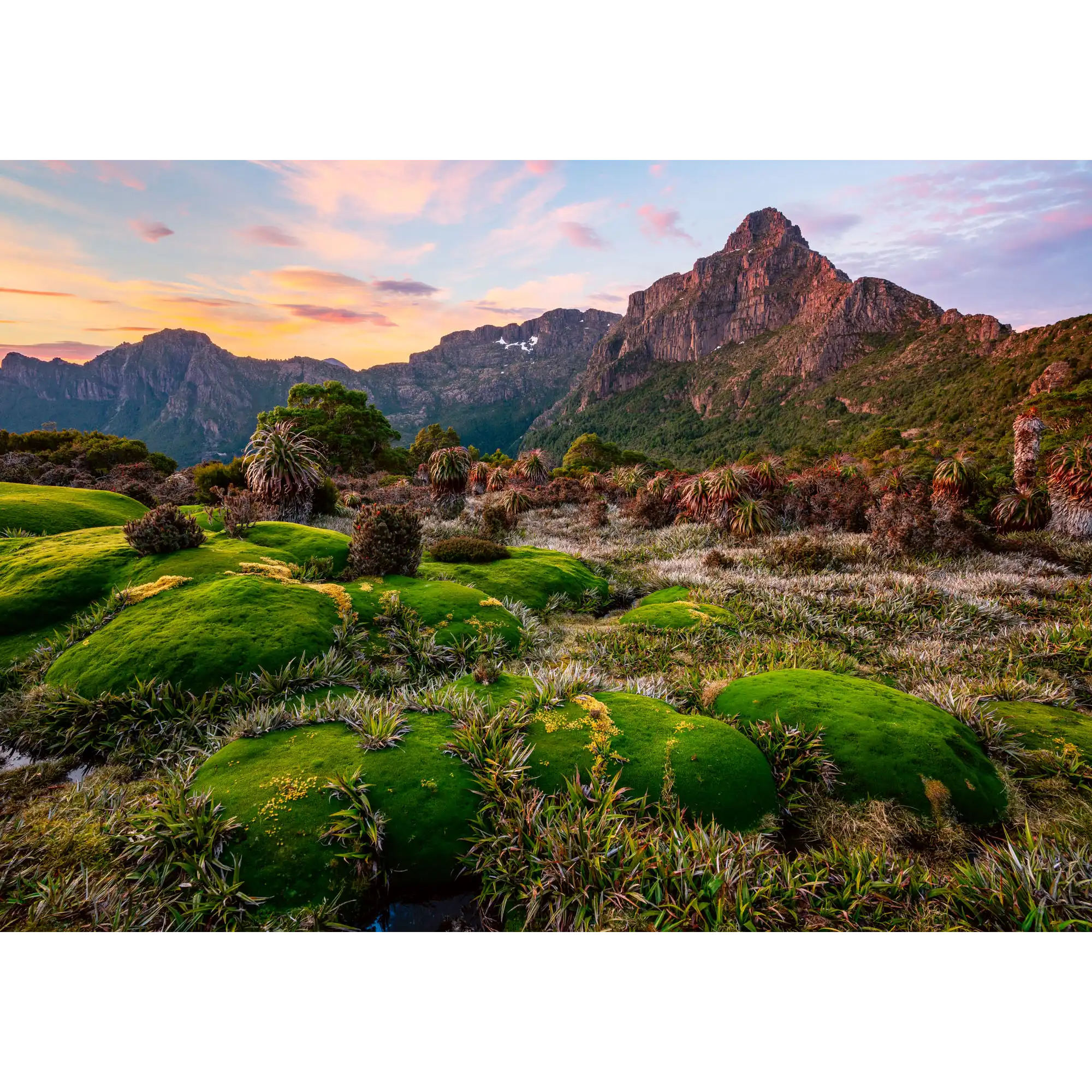 Prehistoric Dawn by Luke Tscharke