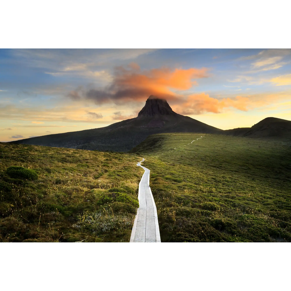 The Track to Barn Bluff by Luke Tscharke