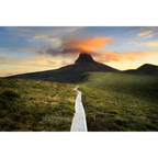 The Track to Barn Bluff by Luke Tscharke