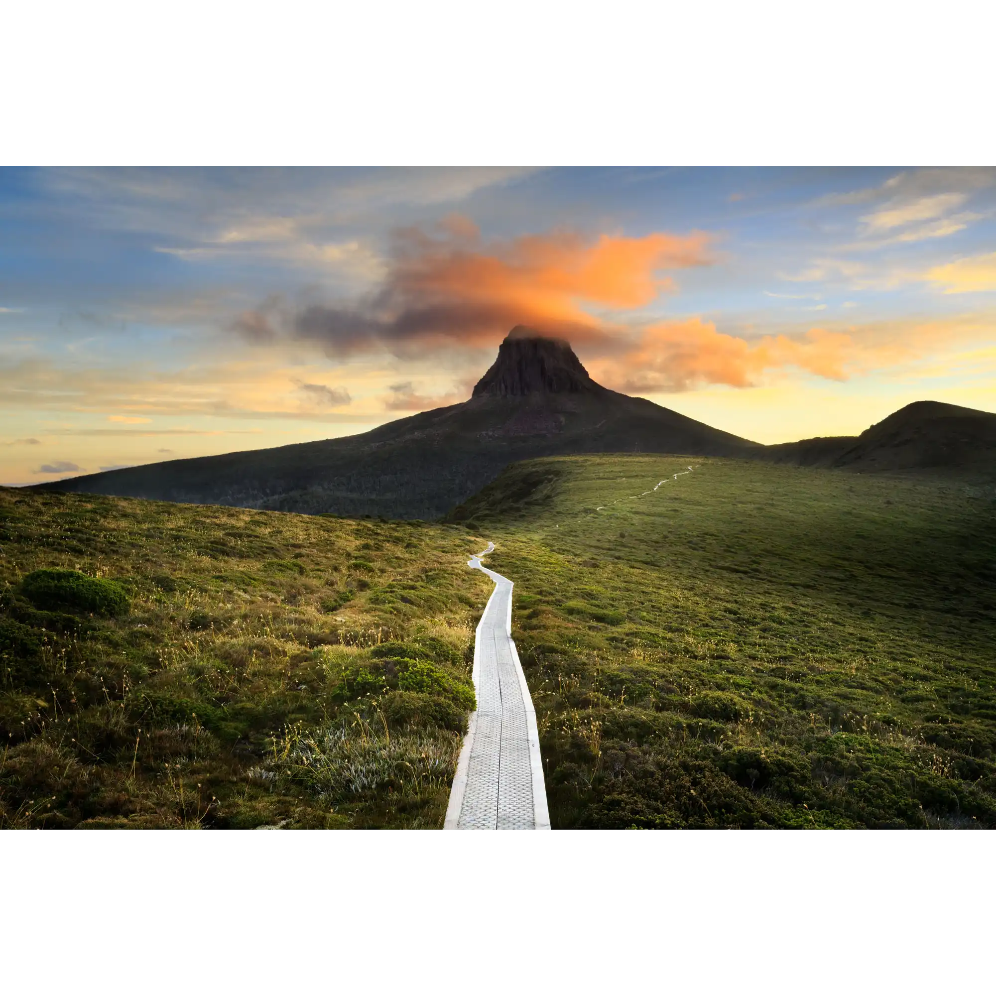 The Track to Barn Bluff by Luke Tscharke