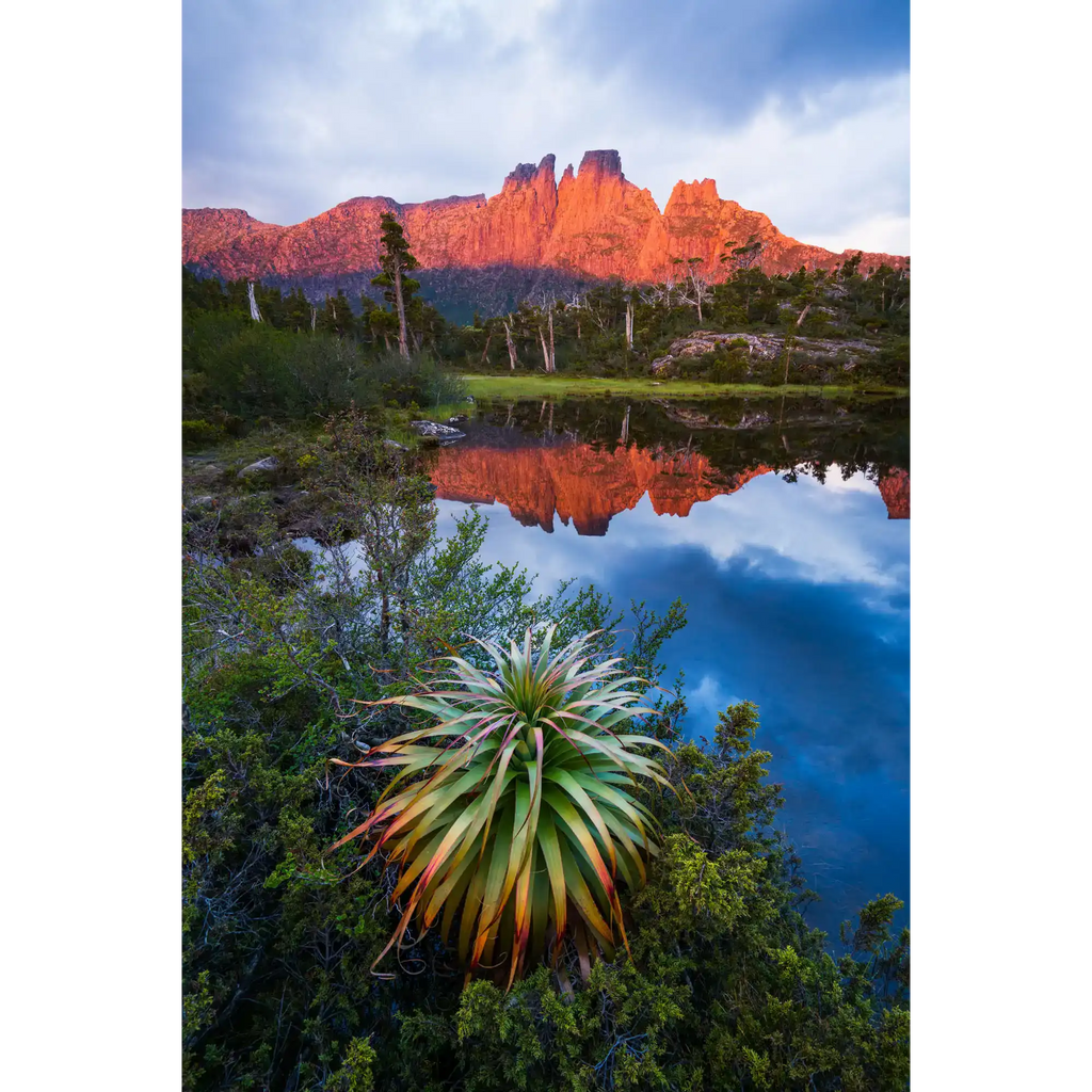 Pandani at the Pool of Memories by Luke Tscharke