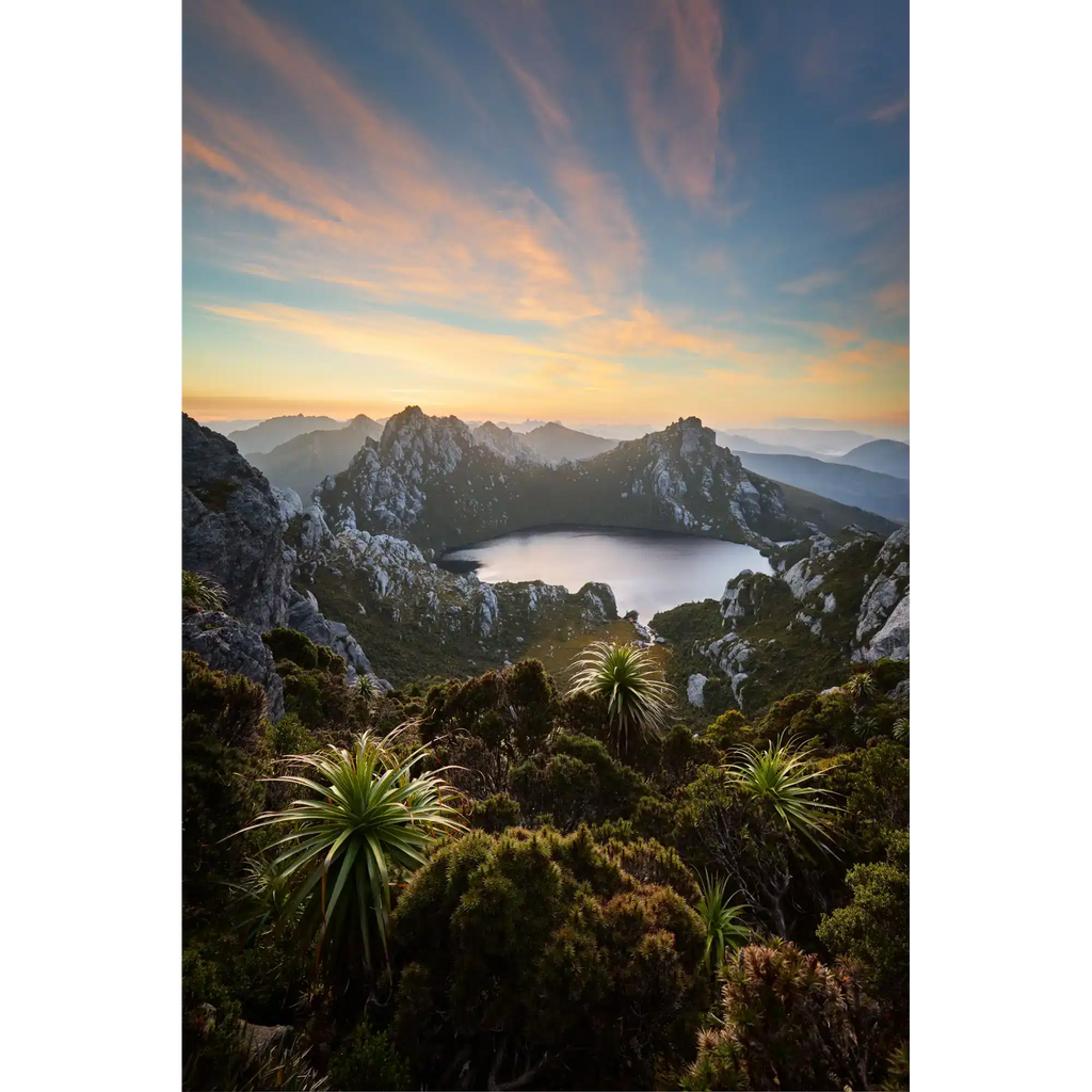 Where the Wild Things Are by Luke Tscharke