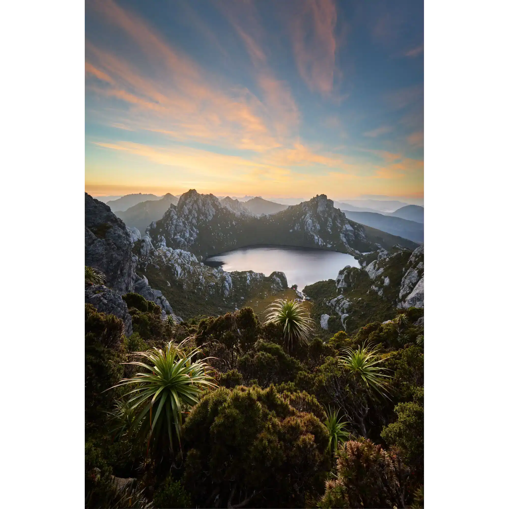 Where the Wild Things Are by Luke Tscharke