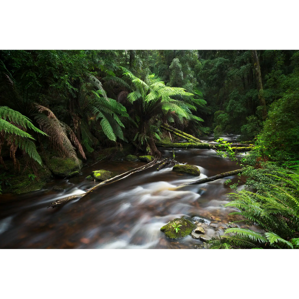 Nelson River Serenity by Luke Tscharke