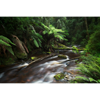 Nelson River Serenity by Luke Tscharke