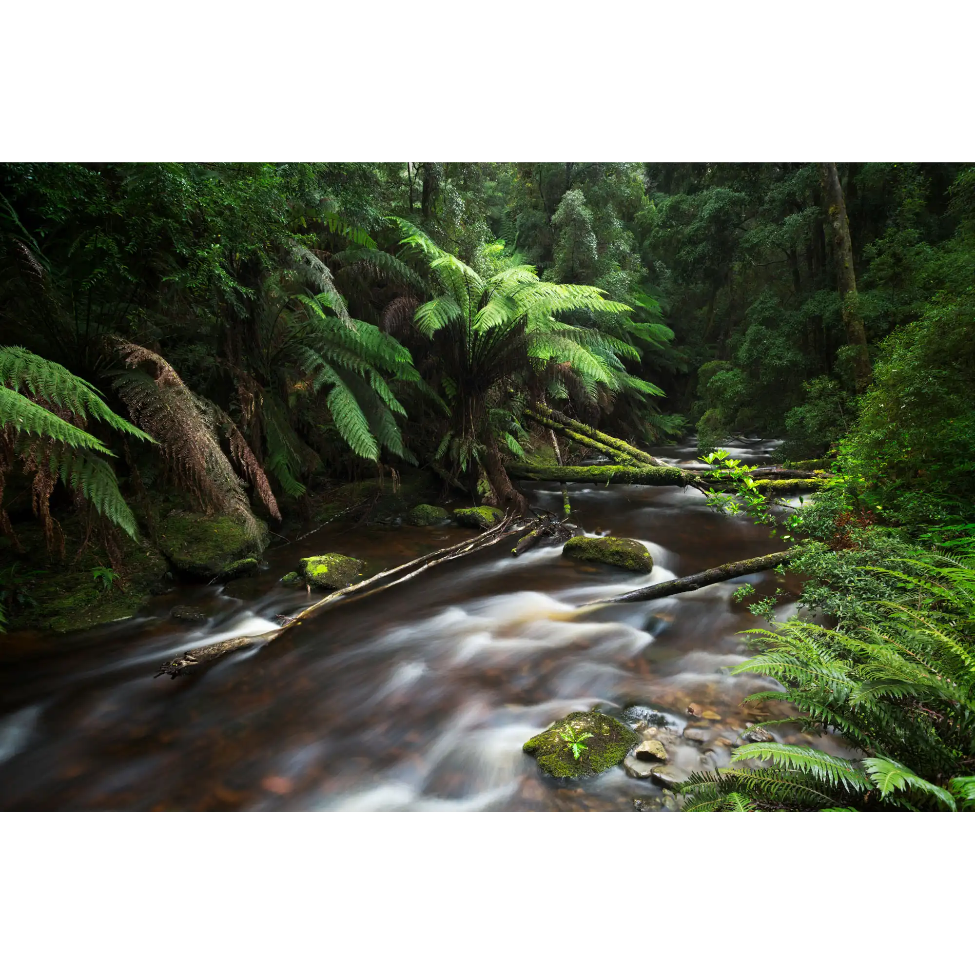 Nelson River Serenity by Luke Tscharke