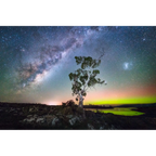 Tasmanian Nights by Luke Tscharke