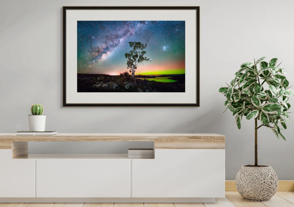 Tasmanian Nights by Luke Tscharke
